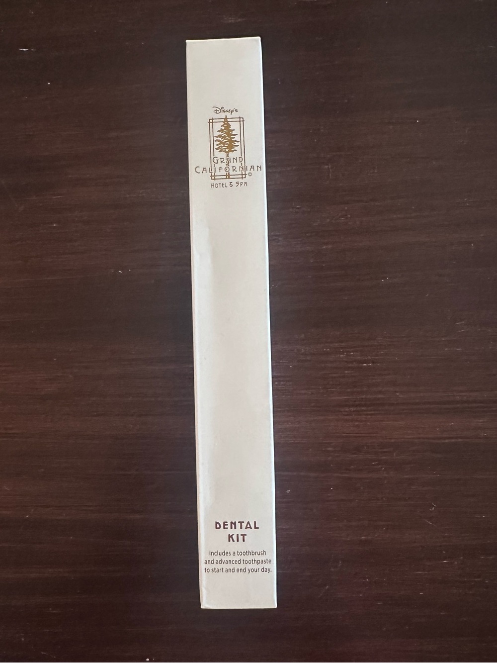New Disney Grand Californian Disneyland Resort Toiletry Toothbrush Dental Kit